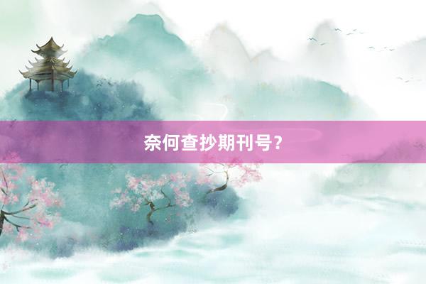 奈何查抄期刊号?
